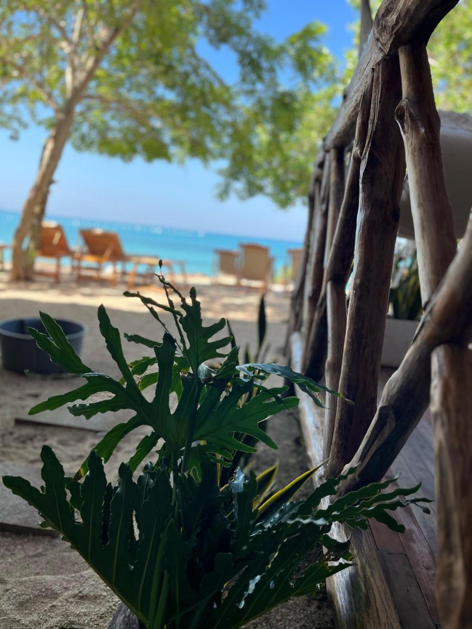 פלאיה בלנקה Thani Ecobeach Baru מראה חיצוני תמונה